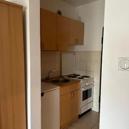 Latinovic 36 * Novi Sad