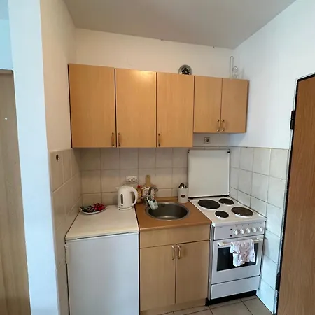 Apartment Latinovic 36 Novi Sad
